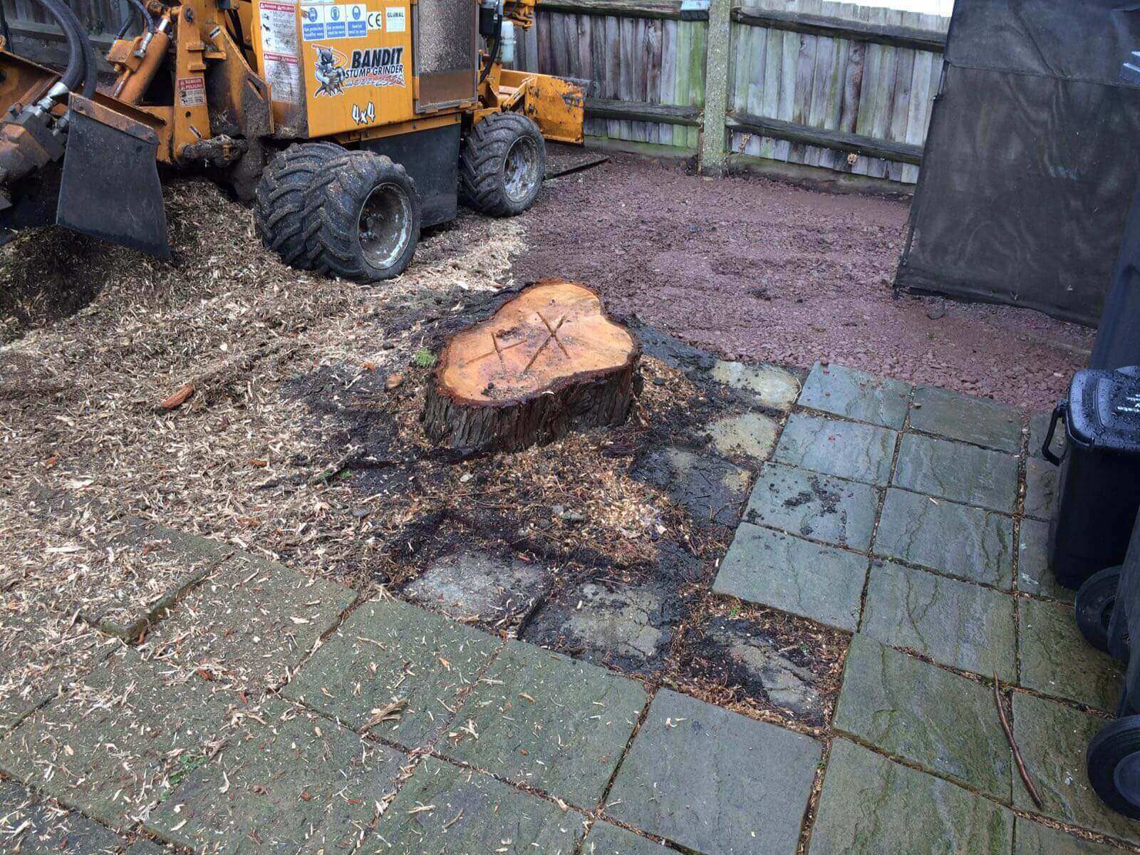 Tree Surgeons Herne Hill SE24