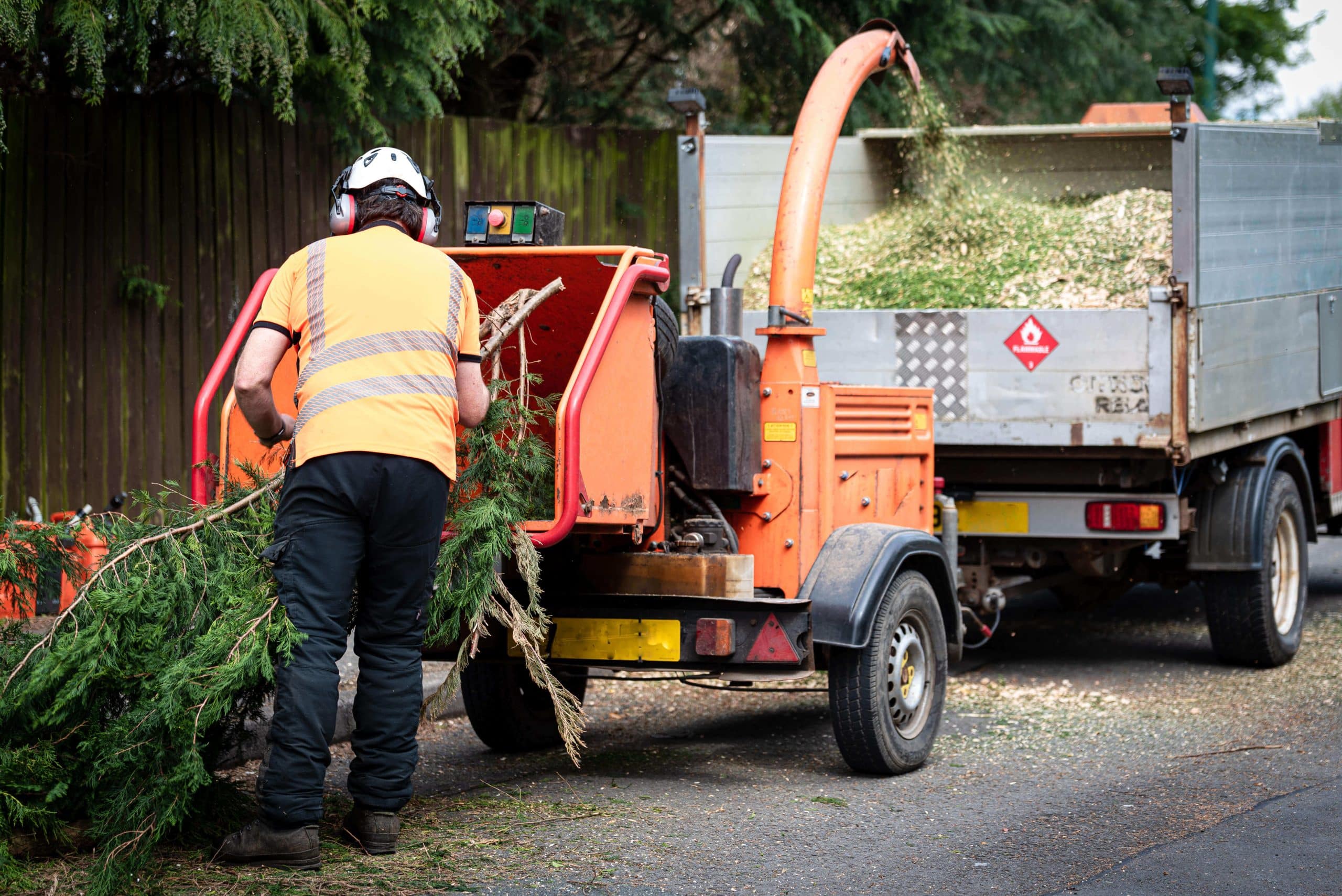 Tree Stump Grinding/Removal Herne Hill SE24